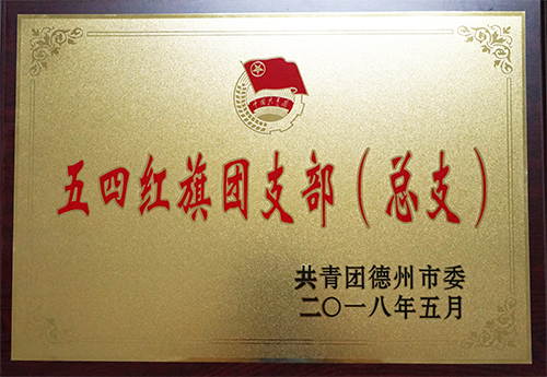 乐鱼官方体育网站-leyu乐鱼（中国）
荣获“德州市五四红旗团支部”荣誉称号